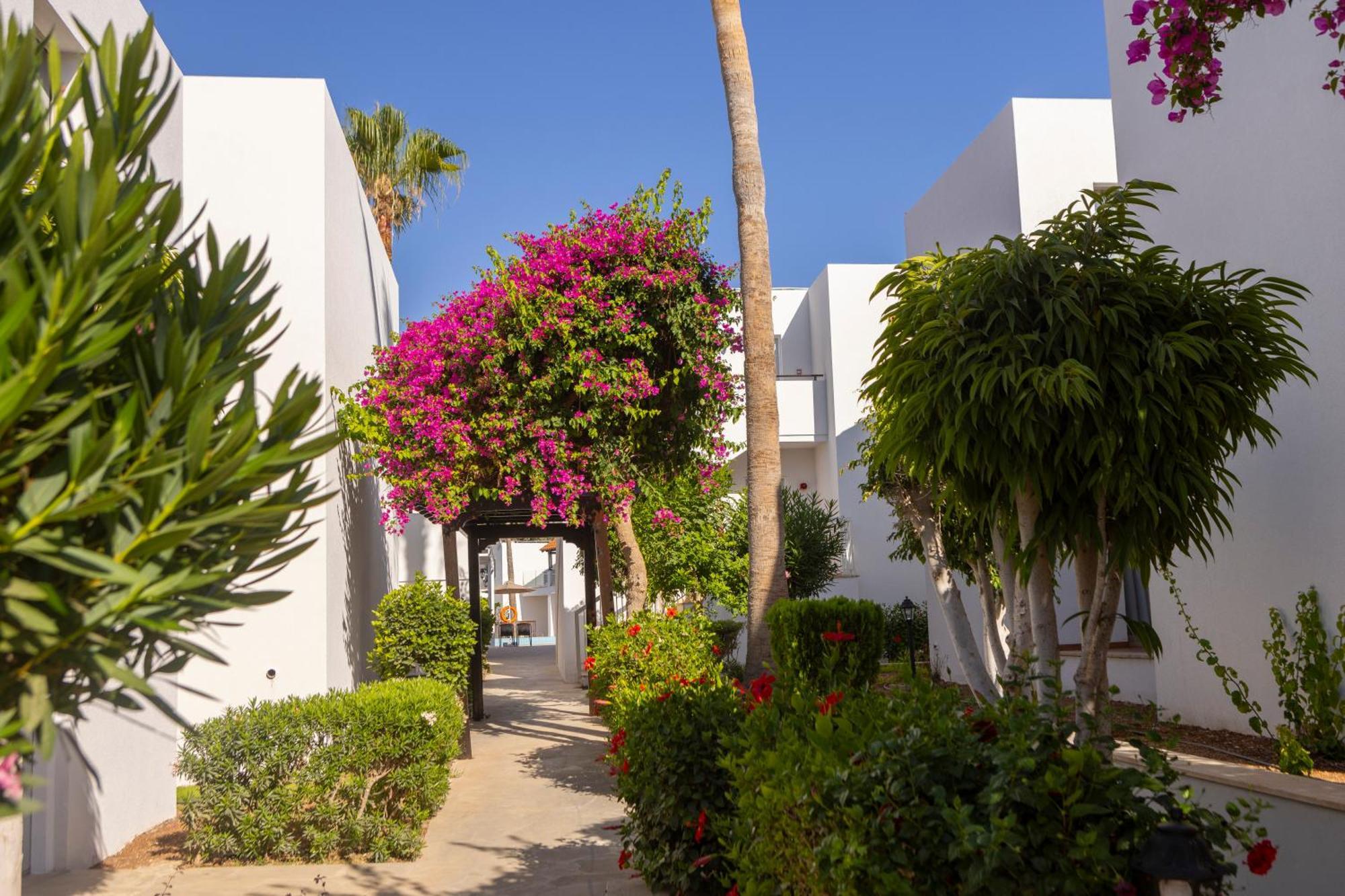 Kapetanios Aqua Resort Coral Bay Eksteriør billede